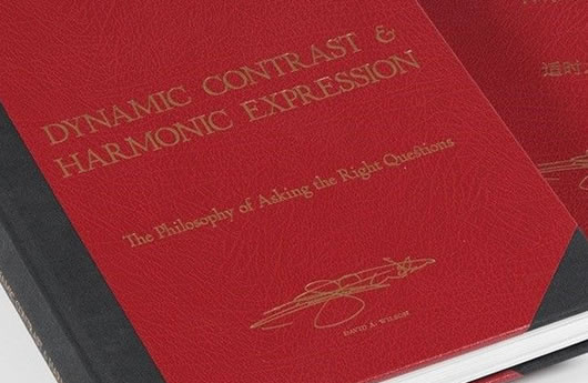 «Dynamischer Kontrast & harmonischer Ausdruck»