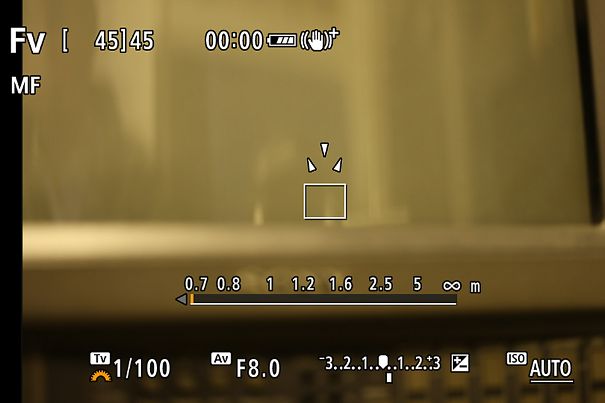 Fokusführung: Der Rahmen des Fokusassistenten von EOS R5/R6 zeigt die aktuelle Position im Fokus und den Korrekturwert. Hier ist es noch ein wenig unscharf im Nahbereich, der obere Einzelpfeil zeigt nach unten. Nach oben wäre es unscharf in der Ferne.