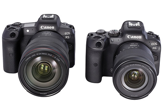 Test Canon EOS R5 und EOS R6