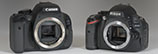 Test Canon EOS 600D vs Nikon D5100