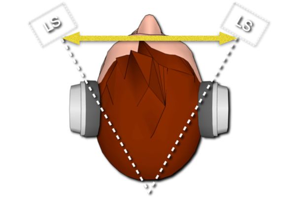 Schalllokalisation wie bei einem Nahfeldmonitor mit «Amoenus Externus»-Algorithmus (Diagramm Amoenus Audio).