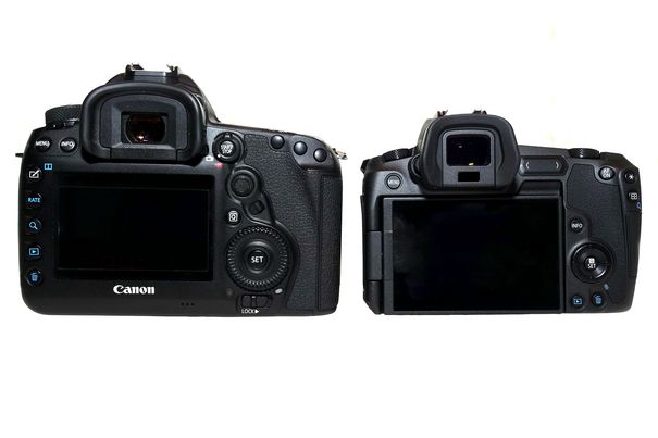 Etwas geschrumpft, aber Ähnlichkeiten sind noch vorhanden: Links das Canon-Schlachtschiff EOS 5D IV, daneben die neue EOS R.