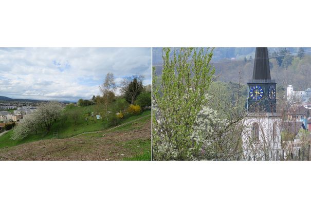 Das 40-fache Zoom der Canon Powershot SX720 HS in Weitwinkel- und Tele-Einstellung. Im linken Foto befindet sich der Kirchturm in der Bildmitte.