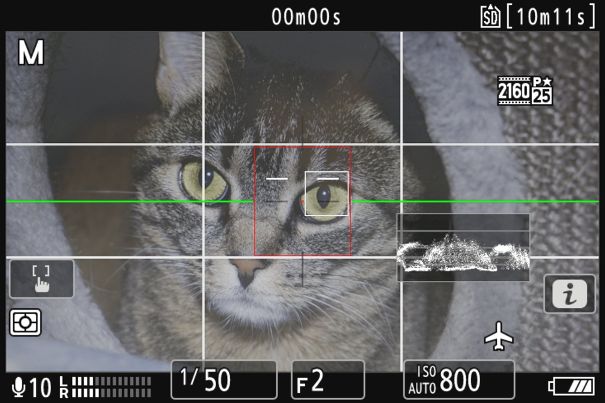 Kontrollen eingeblendet: Virtueller Horizont in grün wenn im Lot, Gittermuster, Waveformmonitor und Fadenkreuz. Auch die Augenerkennung bei tierischen Motiven ist aktiv.