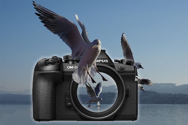 Das neue Topmodell von Olympus, die OM-D E-M1 Mark II, begeistert mit unglaublicher Geschwindigkeit, schnellem Autofokus und tollem Bildstabilisator.