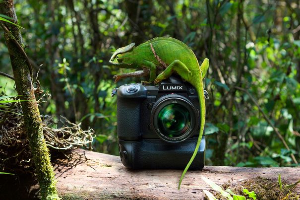Schnell, solid, kompakt: Mit ihren vielfältigen Aufnahmefunktionen empfiehlt sich die G9 besonders für Reportage-, Action-, Sport- und Wildlife-Fotografie.
