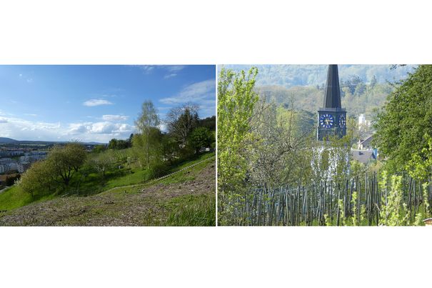 Das 30-fache Zoom der Panasonic Lumix TZ81 in Weitwinkel- und Tele-Einstellung. Im linken Foto befindet sich der Kirchturm in der Bildmitte.