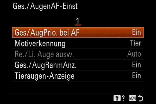Rechts oder links: Der Menüpunkt «Ges./AugenAF-Einst» der Sony Alpha 7C zeigt die Einstellungen für den Gesichts- und Augen-Autofokus bei Mensch und Tier.
