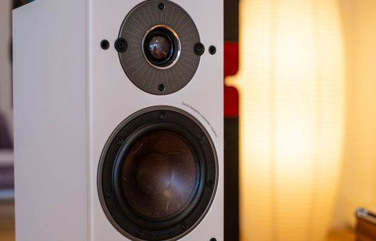 Test der Dali Oberon 5