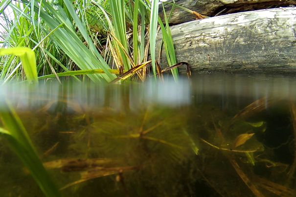 An der Wasserkante: Die Tomtom Bandit Actioncam beherrscht die Lichtverhältnisse im Übergangsbereich erstaunlich gut (Standbild aus Full-HD-Videoclip).